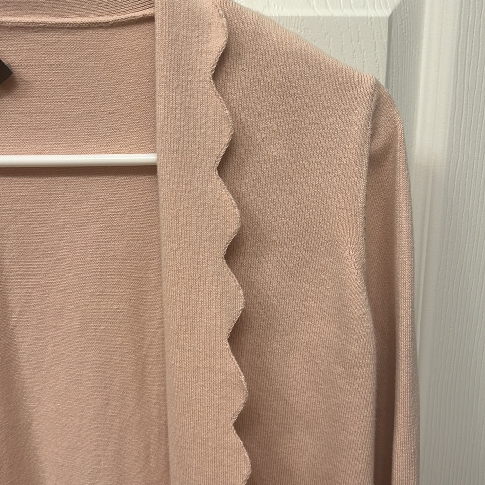 Ann Taylor Cardigan